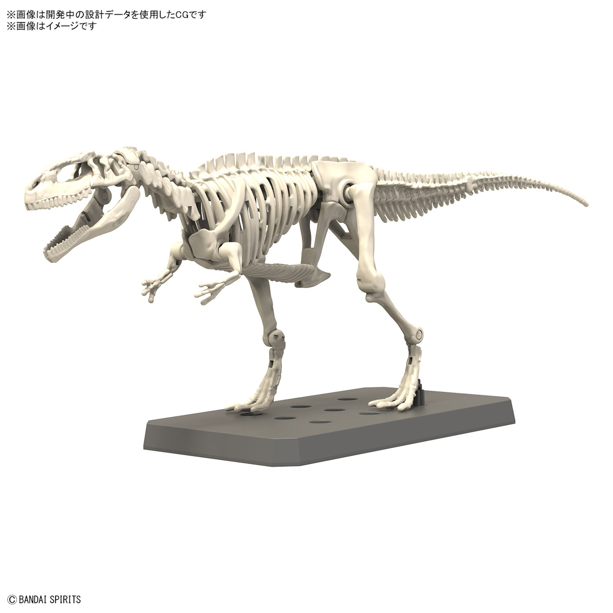 ของเล่นโมเดลไดโนเสาร์กิกาโนโตซ - Model Kit Dinosaur Bandai บทวิจารณ์และราคา