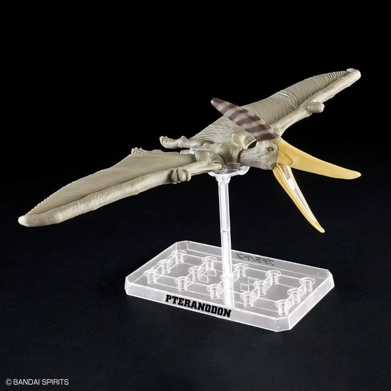 BANDAI PLANNOSAURUS Pteranodon - Model Kit Dinosaur Bandai บทวิจารณ์และราคา