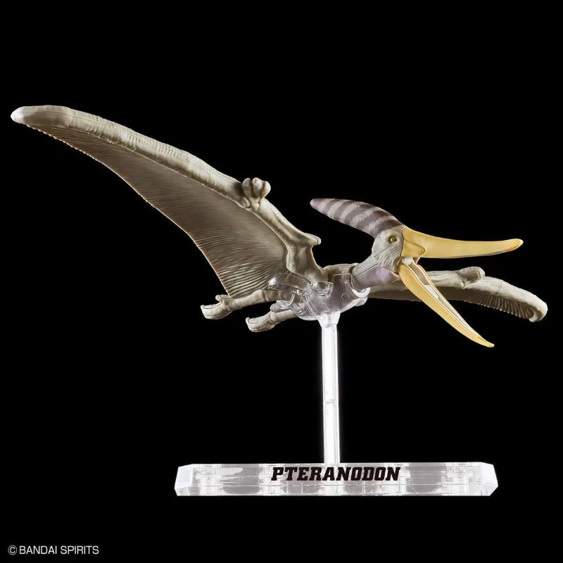 BANDAI PLANNOSAURUS Pteranodon - Model Kit Dinosaur Bandai บทวิจารณ์และราคา